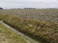 Baflo - 31 maart 2012